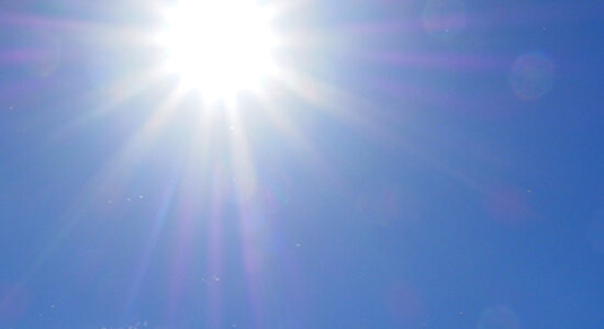 sole