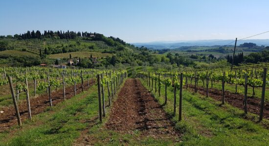 toscana