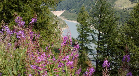 Lago di Beauregard Valgrisenche Valle D'Aosta