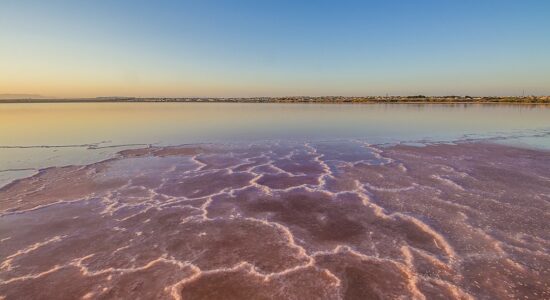 laguna Torrevieja Alicante