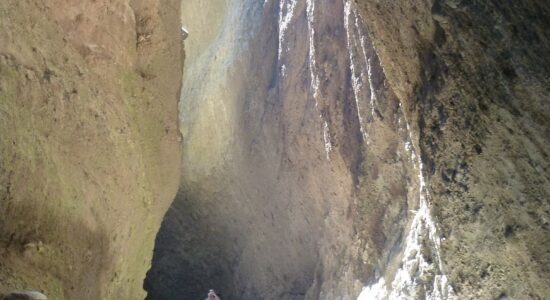 Canyon Valli Cupe