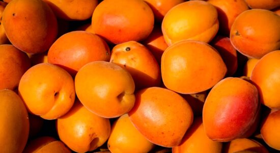 albicocche