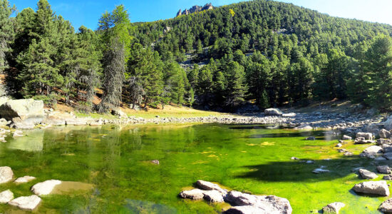 bosco dell'Alevè