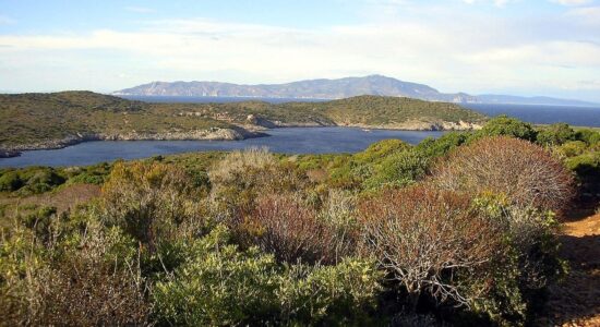 cala spalmatoio giannutri