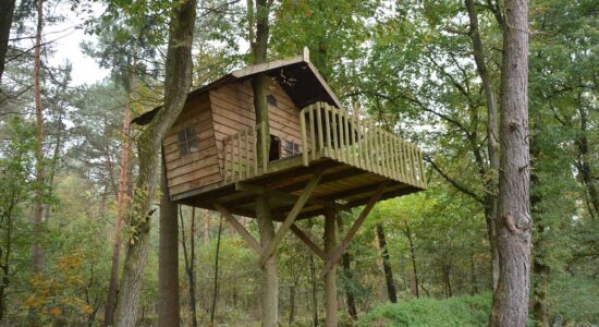 casa sull'albero