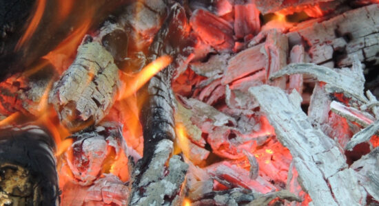 cenere