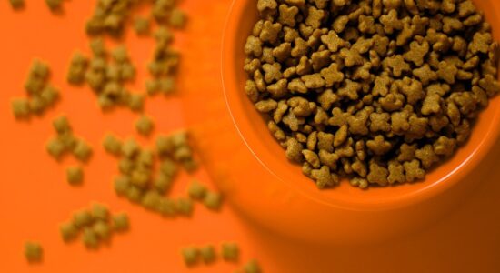 cibo per animali