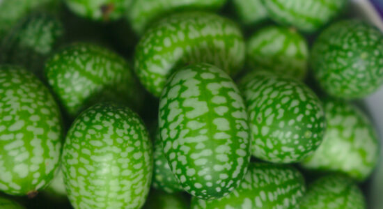 cucamelon