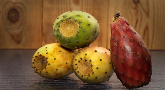fichi d'india