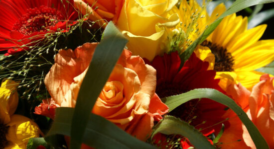 fiori