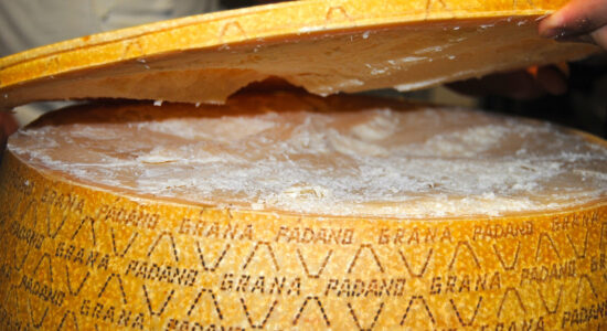 grana padano