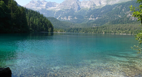 lago