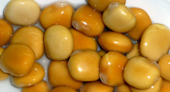 lupini