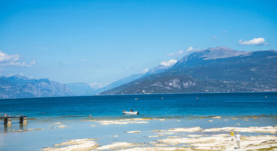 mare