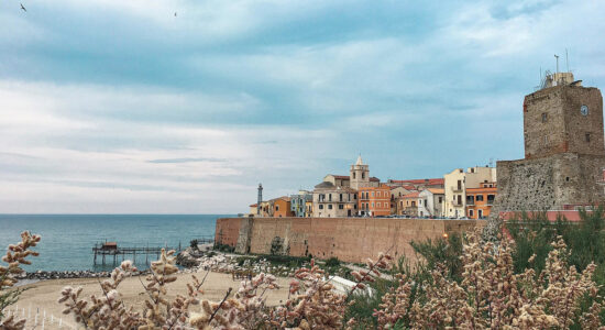 mare