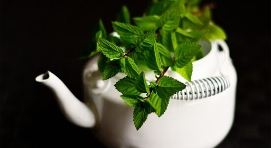 menta