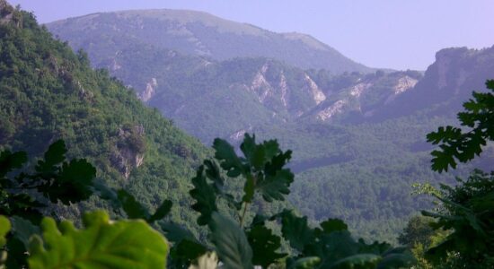 monte polveracchio