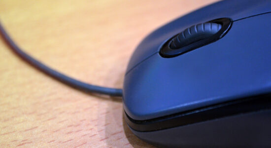 mouse