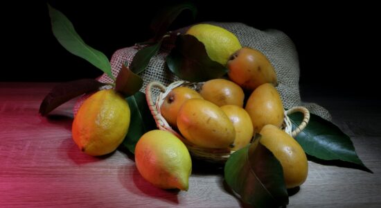 nespole