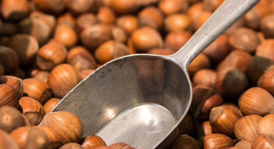 nocciole