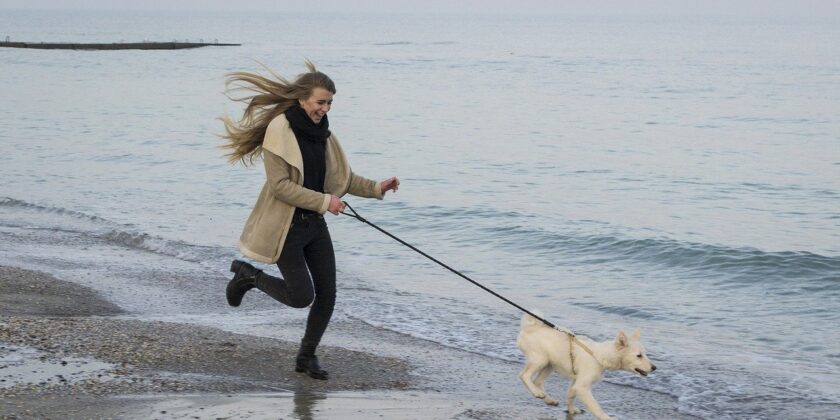 spiaggia,cani