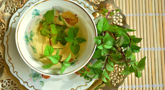 thè menta