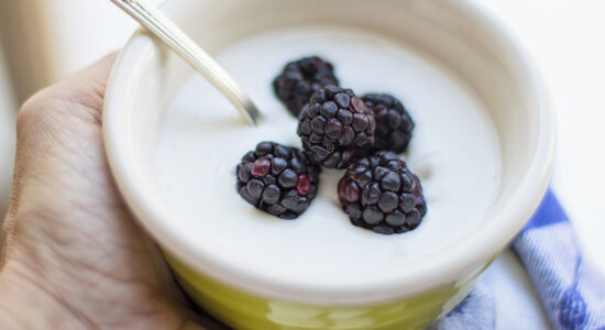 yogurt