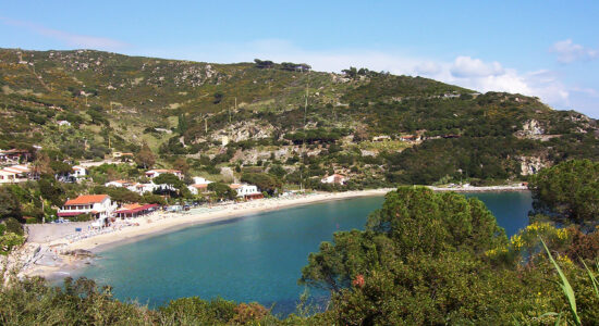 Cavoli