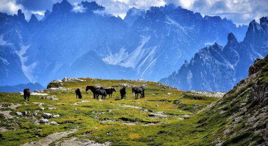 Lavaredo