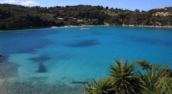 Paxos