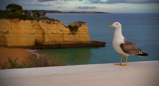 Albufeira
