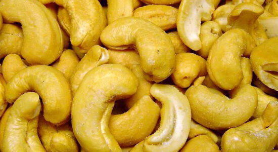 anacardi