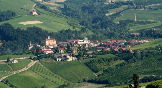 Barolo