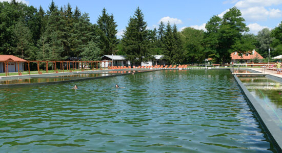 biopiscina