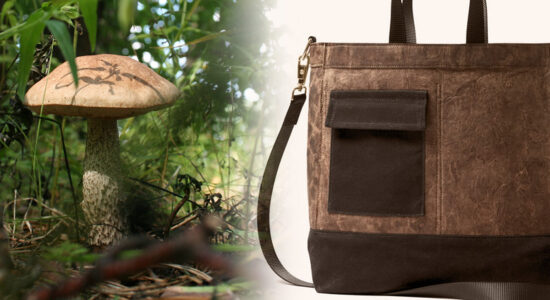 borsa