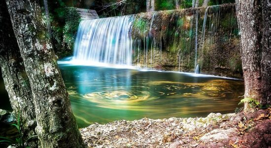 Bosco Magnano Basilicata