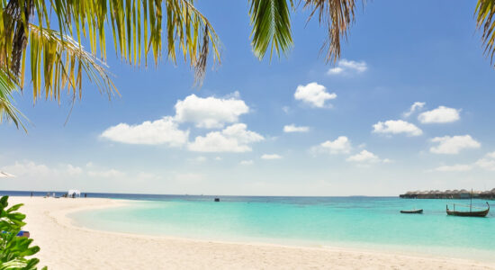 caraibi