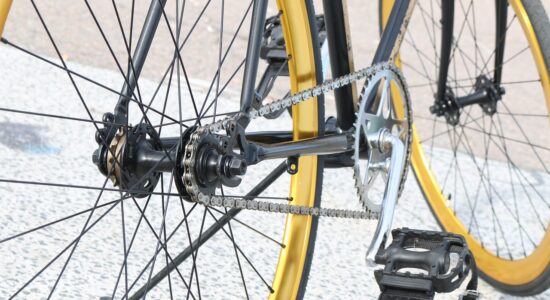 catena pedali bici