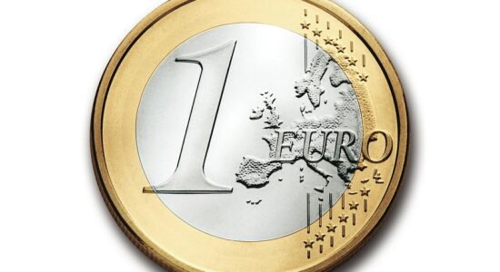 euro
