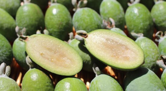 feijoa