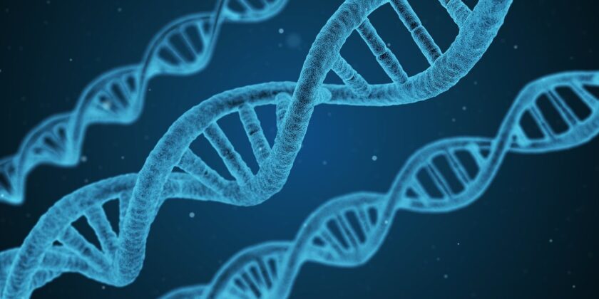 genetica