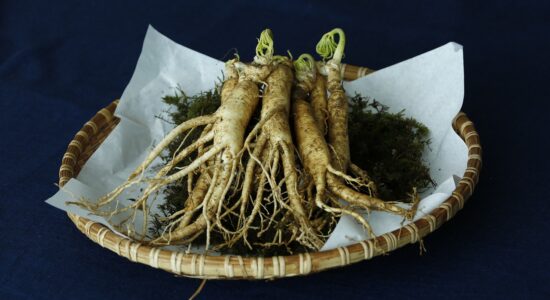 ginseng