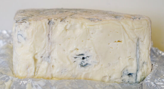 gorgonzola