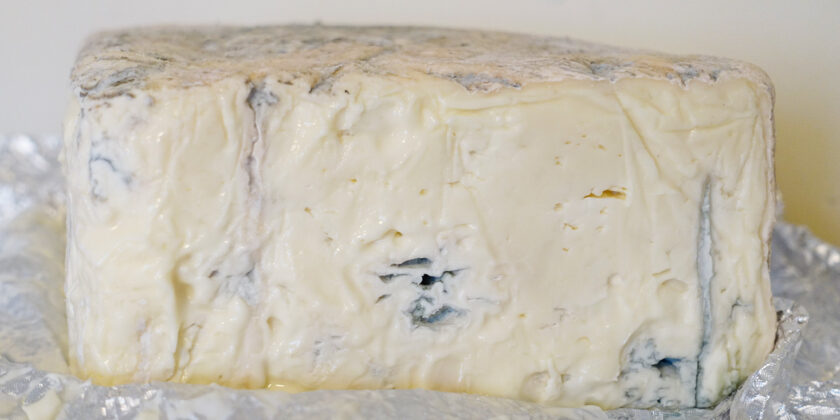 gorgonzola