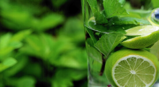 infuso menta