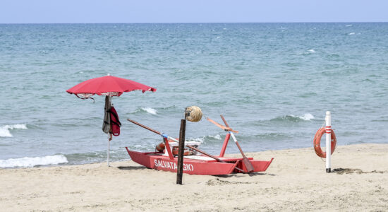mare