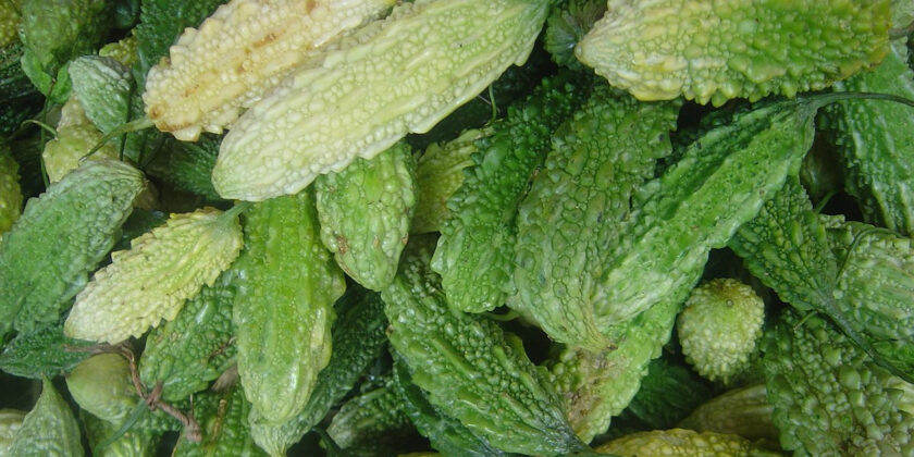 momordica charantia