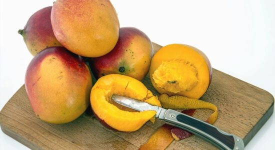 pesche