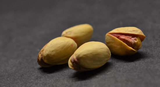 pistacchi