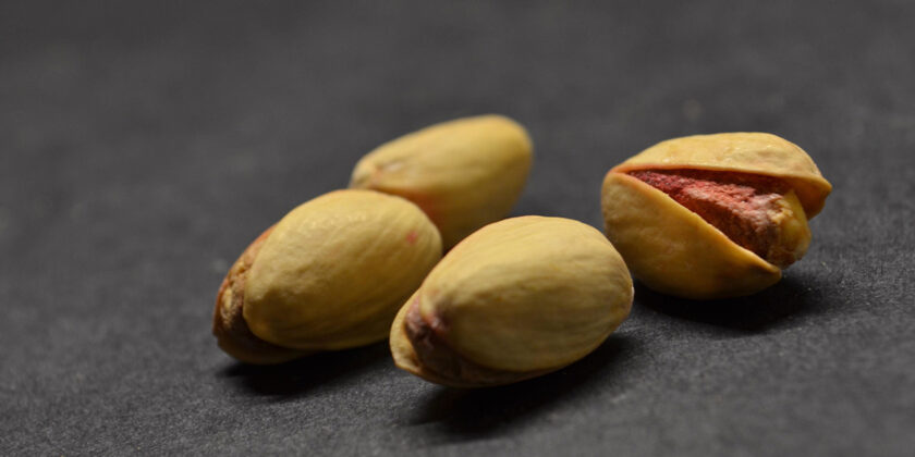 pistacchi